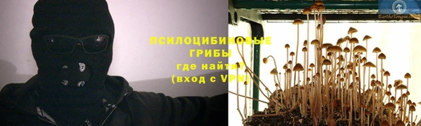 а пвп мука Навашино
