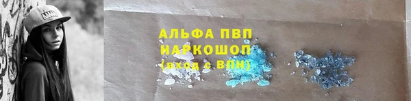 гашик Надым