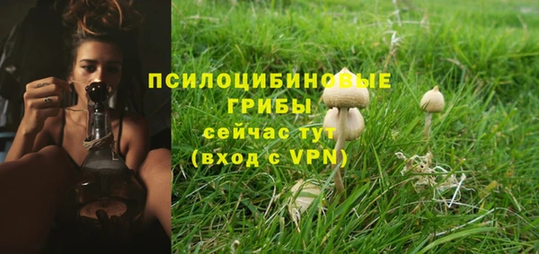 амф Нея